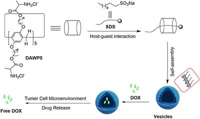 A pH-Responsive Supramolecular Drug Delivery System Constructed by Cationic Pillar[5]arene for Enhancing Antitumor Activity